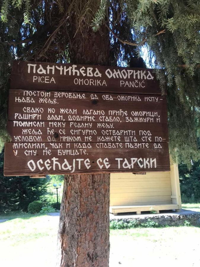 Apartman Mendrea Konjska Reka Экстерьер фото